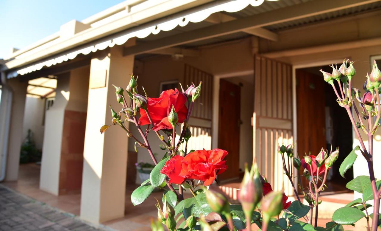 Villa Moria Peace Cottage ダルストロアーム エクステリア 写真
